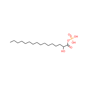 dihydroxycetone phosphate